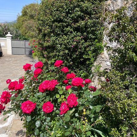 Les Trefles Apartman Hyères Kültér fotó